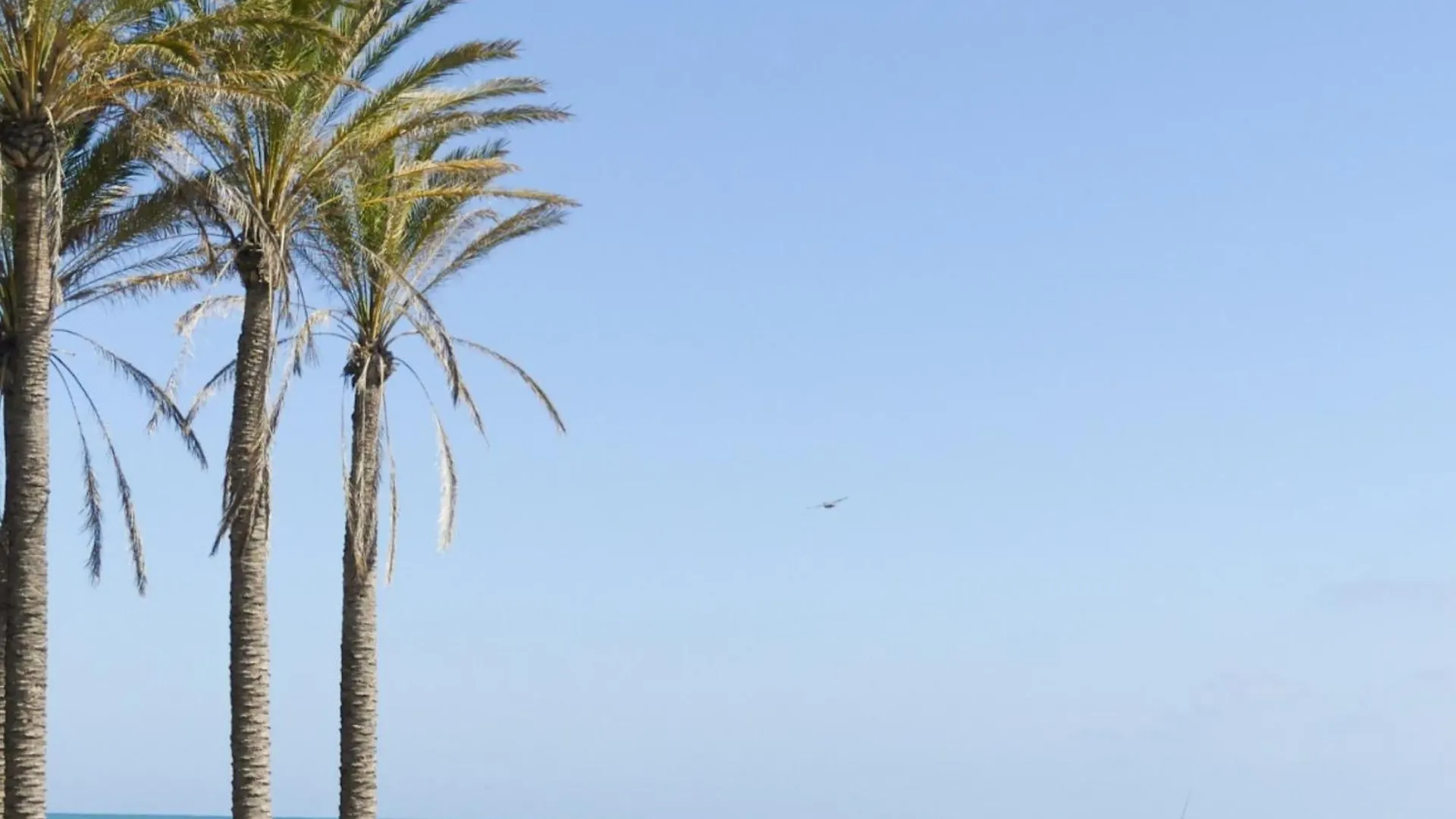 Holiday Rental Apartment Located In Puerto Marina With Sea Views, First Line Of Beach. Benalmádena Španělsko